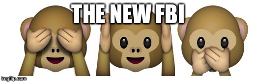 THE NEW FBI | image tagged in hillary emails | made w/ Imgflip meme maker