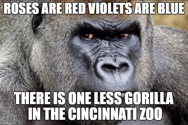 ROSES ARE RED VIOLETS ARE BLUE; THERE IS ONE LESS GORILLA IN THE CINCINNATI ZOO | image tagged in memes | made w/ Imgflip meme maker