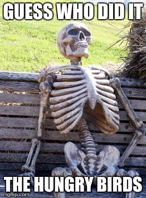 Waiting Skeleton Meme | GUESS WHO DID IT; THE HUNGRY BIRDS | image tagged in memes,waiting skeleton | made w/ Imgflip meme maker