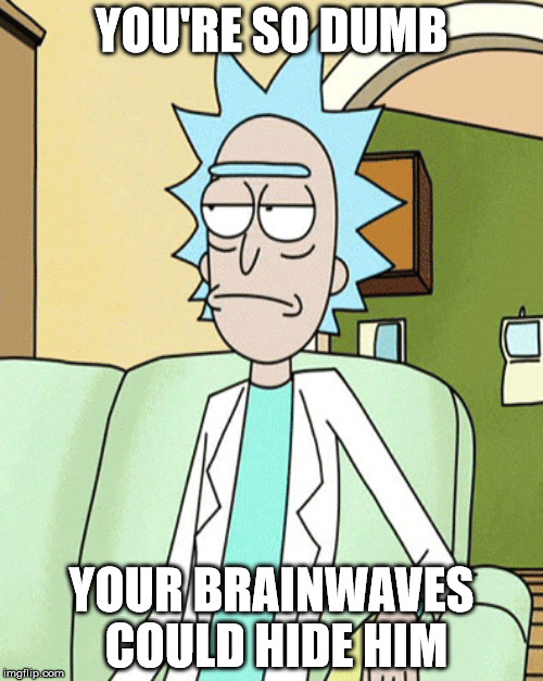 YOU'RE SO DUMB; YOUR BRAINWAVES COULD HIDE HIM | image tagged in rick and morty | made w/ Imgflip meme maker