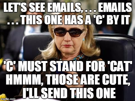 The smartest woman in the world | LET'S SEE EMAILS, . . . EMAILS . . . THIS ONE HAS A 'C' BY IT; 'C' MUST STAND FOR 'CAT'; HMMM, THOSE ARE CUTE, I'LL SEND THIS ONE | image tagged in hillary clinton cellphone | made w/ Imgflip meme maker