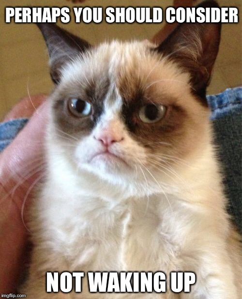 Grumpy Cat Meme | PERHAPS YOU SHOULD CONSIDER NOT WAKING UP | image tagged in memes,grumpy cat | made w/ Imgflip meme maker