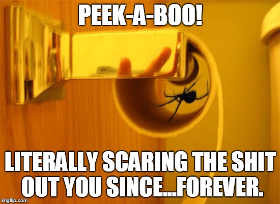 Spiders suck | PEEK-A-BOO! LITERALLY SCARING THE SHIT OUT YOU SINCE...FOREVER. | image tagged in spiders suck | made w/ Imgflip meme maker