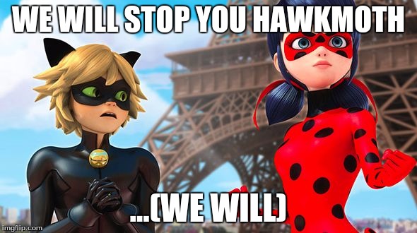 Ladybug | WE WILL STOP YOU HAWKMOTH; ...(WE WILL) | image tagged in ladybug | made w/ Imgflip meme maker