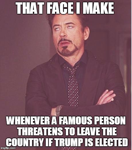 Face You Make Robert Downey Jr | THAT FACE I MAKE; WHENEVER A FAMOUS PERSON THREATENS TO LEAVE THE COUNTRY IF TRUMP IS ELECTED | image tagged in memes,face you make robert downey jr | made w/ Imgflip meme maker