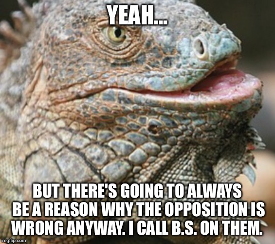 Iguana | YEAH... BUT THERE'S GOING TO ALWAYS BE A REASON WHY THE OPPOSITION IS WRONG ANYWAY. I CALL B.S. ON THEM. | image tagged in iguana | made w/ Imgflip meme maker