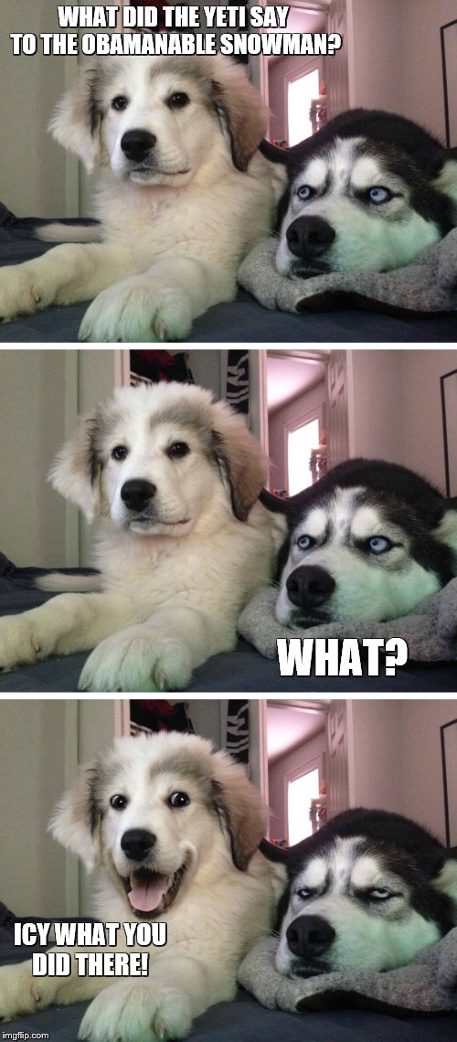 Bad pun dogs | WHAT DID THE YETI SAY TO THE OBAMANABLE SNOWMAN? WHAT? ICY WHAT YOU DID THERE! | image tagged in bad pun dogs | made w/ Imgflip meme maker