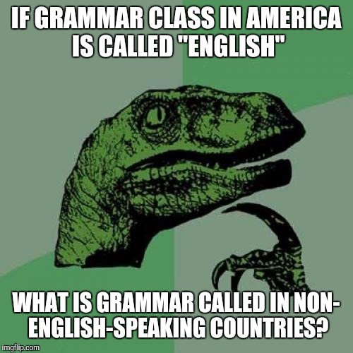 Philosoraptor | IF GRAMMAR CLASS IN AMERICA IS CALLED "ENGLISH"; WHAT IS GRAMMAR CALLED IN NON- ENGLISH-SPEAKING COUNTRIES? | image tagged in memes,philosoraptor | made w/ Imgflip meme maker