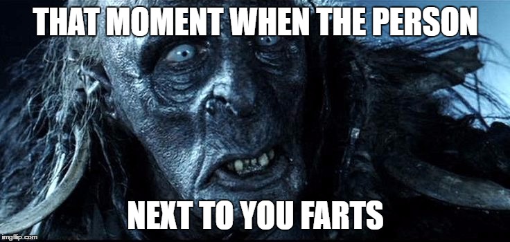 LOTR | THAT MOMENT WHEN THE PERSON; NEXT TO YOU FARTS | image tagged in lotr | made w/ Imgflip meme maker
