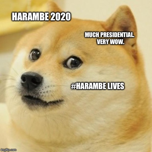 Doge Meme | HARAMBE 2020; MUCH PRESIDENTIAL. 
VERY WOW. #HARAMBE LIVES | image tagged in memes,doge | made w/ Imgflip meme maker