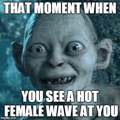 Gollum Meme | THAT MOMENT WHEN; YOU SEE A HOT FEMALE WAVE AT YOU | image tagged in memes,gollum | made w/ Imgflip meme maker