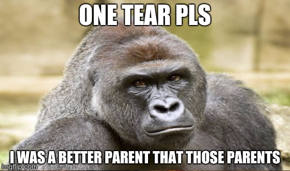 ONE TEAR PLS I WAS A BETTER PARENT THAT THOSE PARENTS | made w/ Imgflip meme maker