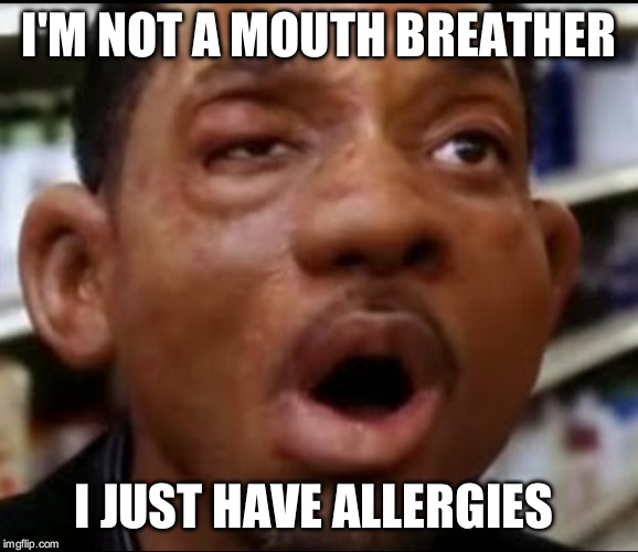 Allergy | I'M NOT A MOUTH BREATHER; I JUST HAVE ALLERGIES | image tagged in allergy | made w/ Imgflip meme maker