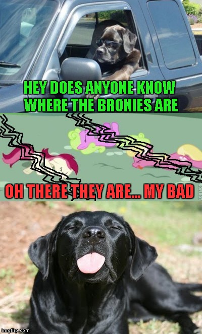 HEY DOES ANYONE KNOW WHERE THE BRONIES ARE; OH THERE THEY ARE... MY BAD | made w/ Imgflip meme maker