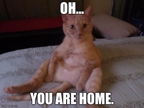 Busted |  OH... YOU ARE HOME. | image tagged in memes,chester the cat,bad,masturbate,busted,home alone | made w/ Imgflip meme maker