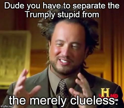 Ancient Aliens Meme | Dude you have to separate
the Trumply stupid from the merely clueless. | image tagged in memes,ancient aliens | made w/ Imgflip meme maker
