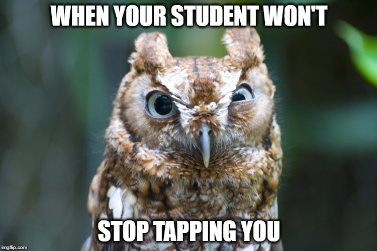 Annoyed Owl | WHEN YOUR STUDENT WON'T; STOP TAPPING YOU | image tagged in annoyed owl | made w/ Imgflip meme maker