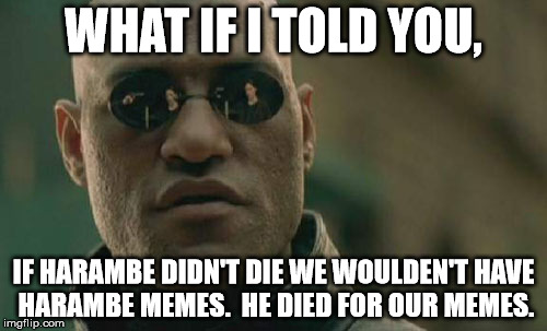 Matrix Morpheus Meme | WHAT IF I TOLD YOU, IF HARAMBE DIDN'T DIE WE WOULDEN'T HAVE HARAMBE MEMES.  HE DIED FOR OUR MEMES. | image tagged in memes,matrix morpheus | made w/ Imgflip meme maker