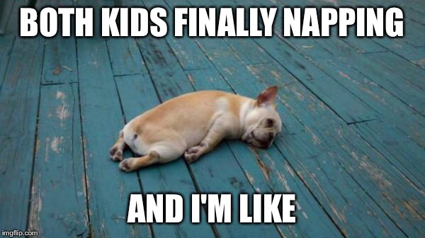 tired dog | BOTH KIDS FINALLY NAPPING; AND I'M LIKE | image tagged in tired dog | made w/ Imgflip meme maker