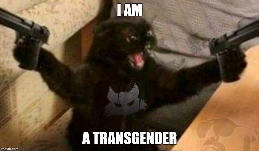 um................ | I AM; A TRANSGENDER | image tagged in cat with guns | made w/ Imgflip meme maker