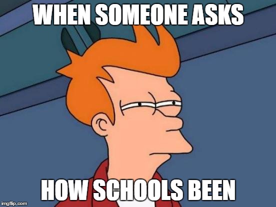 Futurama Fry Meme | WHEN SOMEONE ASKS; HOW SCHOOLS BEEN | image tagged in memes,futurama fry | made w/ Imgflip meme maker