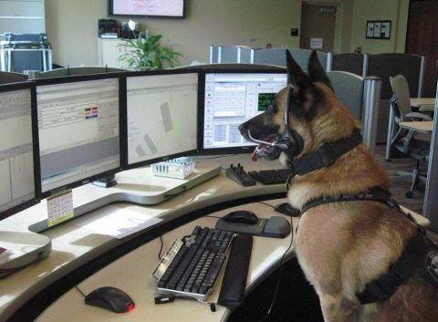 High Quality police dog Blank Meme Template