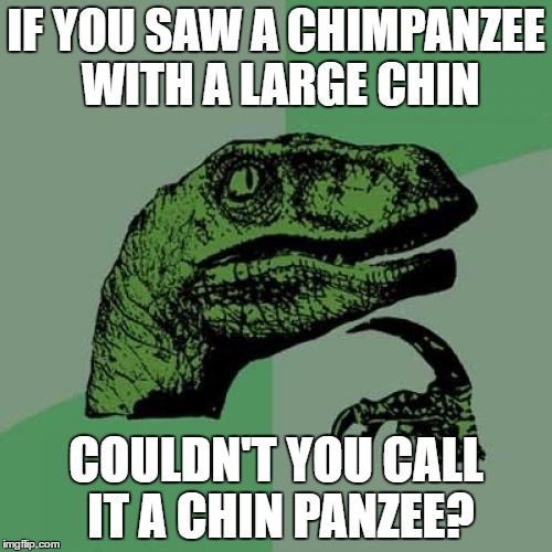 Philosoraptor | IF YOU SAW A CHIMPANZEE WITH A LARGE CHIN; COULDN'T YOU CALL IT A CHIN PANZEE? | image tagged in memes,philosoraptor | made w/ Imgflip meme maker
