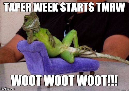 Sassy Iguana Meme | TAPER WEEK STARTS TMRW; WOOT WOOT WOOT!!! | image tagged in memes,sassy iguana | made w/ Imgflip meme maker