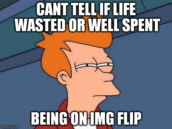 Futurama Fry |  CANT TELL IF LIFE WASTED OR WELL SPENT; BEING ON IMG FLIP | image tagged in memes,futurama fry | made w/ Imgflip meme maker