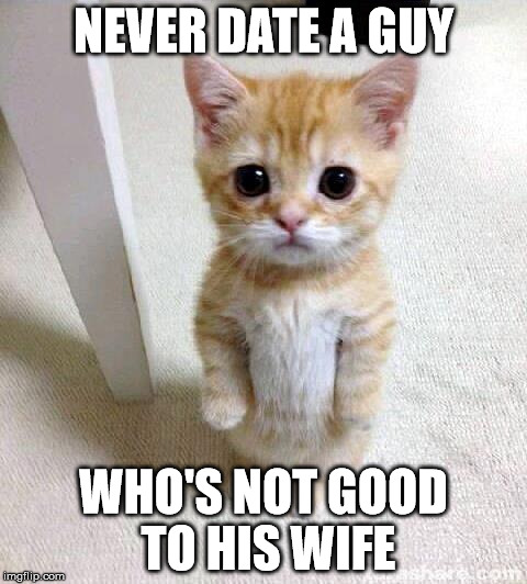 Cute Cat | NEVER DATE A GUY; WHO'S NOT GOOD TO HIS WIFE | image tagged in memes,cute cat | made w/ Imgflip meme maker