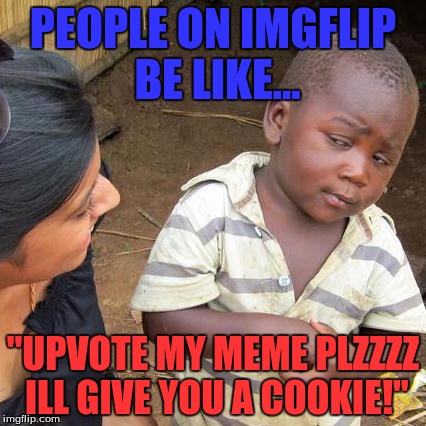 Third World Skeptical Kid | PEOPLE ON IMGFLIP BE LIKE... "UPVOTE MY MEME PLZZZZ ILL GIVE YOU A COOKIE!" | image tagged in memes,third world skeptical kid | made w/ Imgflip meme maker