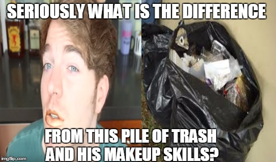 This meme just popped up in my head while I was watching a YouTube video.   | SERIOUSLY WHAT IS THE DIFFERENCE; FROM THIS PILE OF TRASH AND HIS MAKEUP SKILLS? | image tagged in shane dawson | made w/ Imgflip meme maker