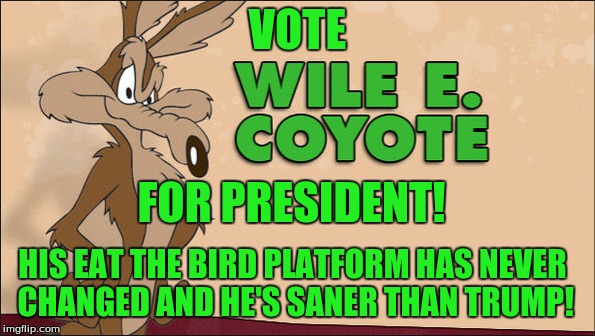Nuclear option! | VOTE; FOR PRESIDENT! HIS EAT THE BIRD PLATFORM HAS NEVER CHANGED AND HE'S SANER THAN TRUMP! | image tagged in wile e coyote,trump,hillary,politics,funny | made w/ Imgflip meme maker