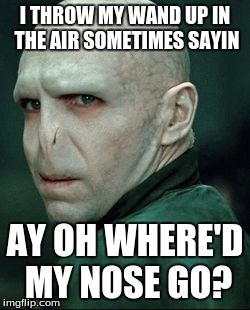 Voldemort | I THROW MY WAND UP IN THE AIR SOMETIMES SAYIN; AY OH WHERE'D MY NOSE GO? | image tagged in voldemort | made w/ Imgflip meme maker