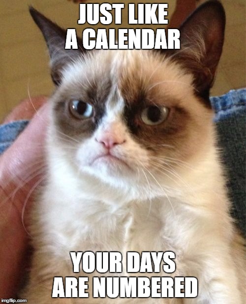 Grumpy Cat | JUST LIKE A CALENDAR; YOUR DAYS ARE NUMBERED | image tagged in memes,grumpy cat | made w/ Imgflip meme maker