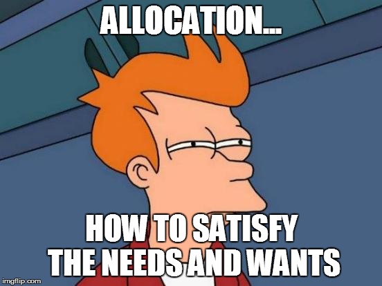 Futurama Fry | ALLOCATION... HOW TO SATISFY THE NEEDS AND WANTS | image tagged in memes,futurama fry | made w/ Imgflip meme maker