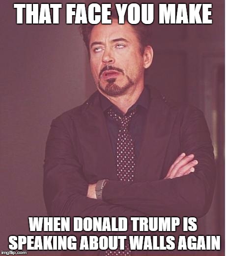 donald trump's wall's again | THAT FACE YOU MAKE; WHEN DONALD TRUMP IS SPEAKING ABOUT WALLS AGAIN | image tagged in memes,donald trump,walls,face you make robert downey jr | made w/ Imgflip meme maker