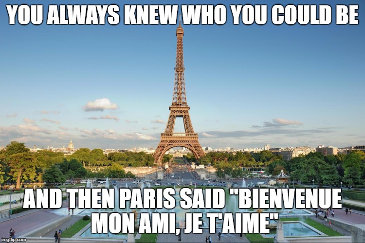 paris tourist meme