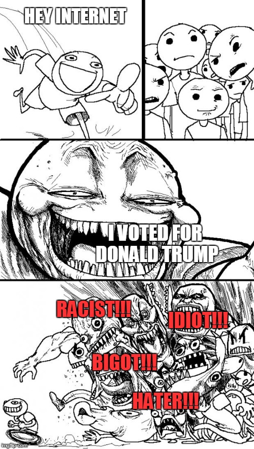 Hey Internet | HEY INTERNET; I VOTED FOR DONALD TRUMP; RACIST!!! IDIOT!!! BIGOT!!! HATER!!! | image tagged in memes,hey internet | made w/ Imgflip meme maker