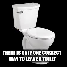 Toilet drama fix | THERE IS ONLY ONE CORRECT WAY TO LEAVE A TOILET | image tagged in toilet seat up | made w/ Imgflip meme maker