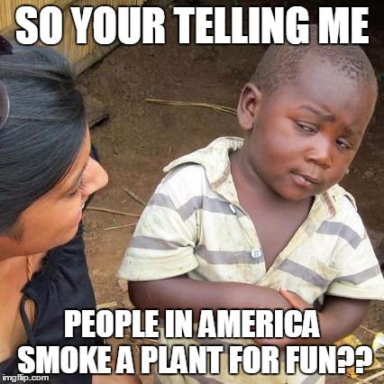 Yeah, weed bruhh.. | SO YOUR TELLING ME; PEOPLE IN AMERICA SMOKE A PLANT FOR FUN?? | image tagged in memes,third world skeptical kid,funny,smoke | made w/ Imgflip meme maker