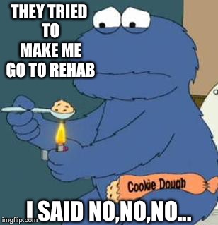 I do what I want...!!! | THEY TRIED TO MAKE ME GO TO REHAB; I SAID NO,NO,NO... | image tagged in cookie monster,cookie dough,rehab,don't tell me,funny memes,too true | made w/ Imgflip meme maker