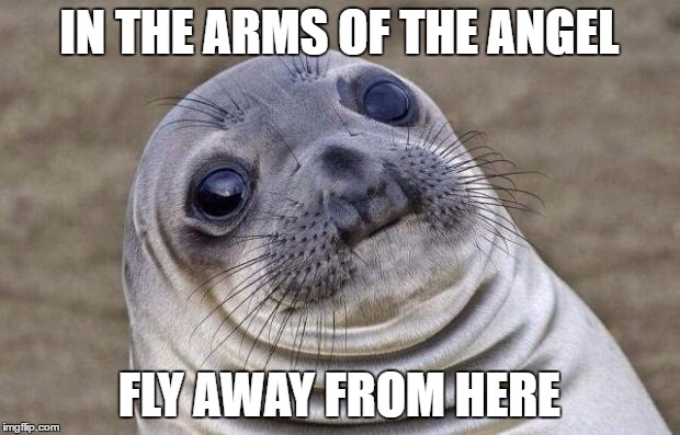 Awkward Moment Sealion Meme | IN THE ARMS OF THE ANGEL; FLY AWAY FROM HERE | image tagged in memes,awkward moment sealion | made w/ Imgflip meme maker