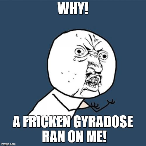 Y U No Meme | WHY! A FRICKEN GYRADOSE RAN ON ME! | image tagged in memes,y u no | made w/ Imgflip meme maker