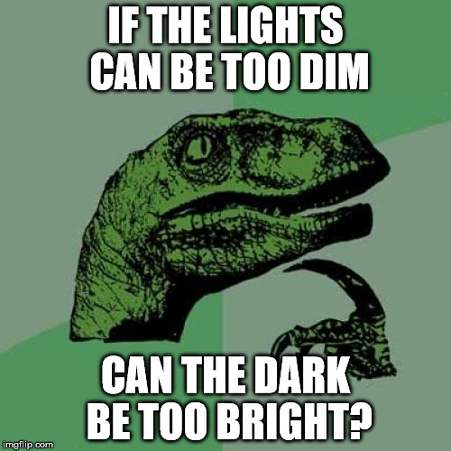 Bright Darkness | IF THE LIGHTS CAN BE TOO DIM; CAN THE DARK BE TOO BRIGHT? | image tagged in memes,philosoraptor,light,dark,brightness | made w/ Imgflip meme maker