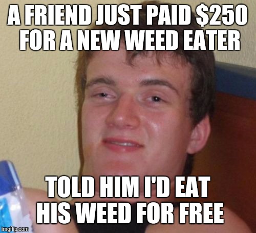 10 Guy | A FRIEND JUST PAID $250 FOR A NEW WEED EATER; TOLD HIM I'D EAT HIS WEED FOR FREE | image tagged in memes,10 guy | made w/ Imgflip meme maker