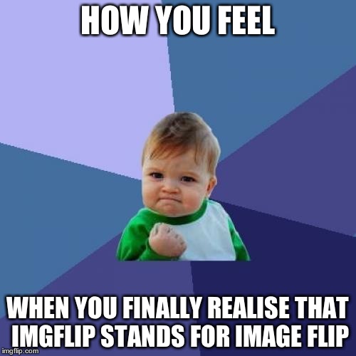 Now it makes sense! Memes are images... and you flip THROUGH them! | HOW YOU FEEL; WHEN YOU FINALLY REALISE THAT IMGFLIP STANDS FOR IMAGE FLIP | image tagged in memes,success kid | made w/ Imgflip meme maker