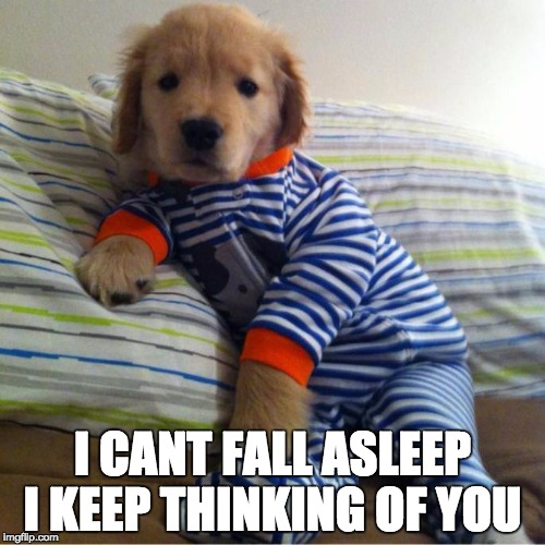 My Sleepy Puppy | I CANT FALL ASLEEP I KEEP THINKING OF YOU | image tagged in my sleepy puppy | made w/ Imgflip meme maker