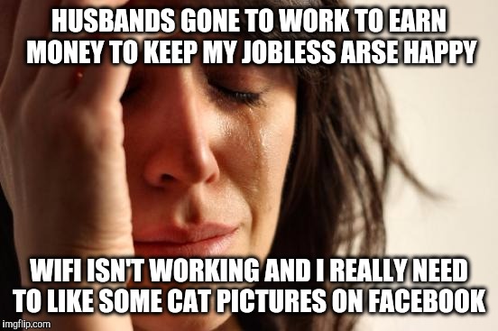 First World Problems | HUSBANDS GONE TO WORK TO EARN MONEY TO KEEP MY JOBLESS ARSE HAPPY; WIFI ISN'T WORKING AND I REALLY NEED TO LIKE SOME CAT PICTURES ON FACEBOOK | image tagged in memes,first world problems | made w/ Imgflip meme maker