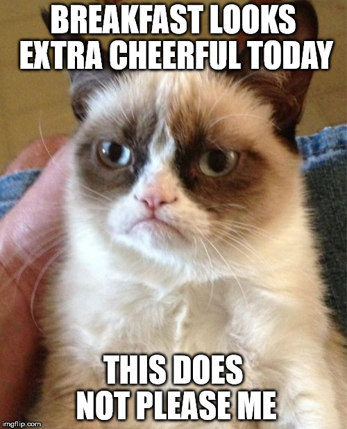 Grumpy Cat Meme | BREAKFAST LOOKS EXTRA CHEERFUL TODAY THIS DOES NOT PLEASE ME | image tagged in memes,grumpy cat | made w/ Imgflip meme maker